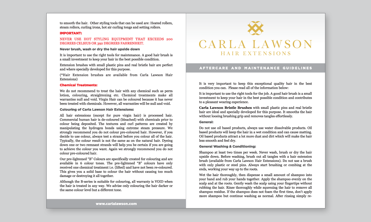 Flyer Design by SoraZG for this project | Design #12799569