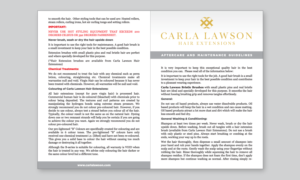 Diseño de Flyer por SoraZG para este proyecto | Diseño: #12799569