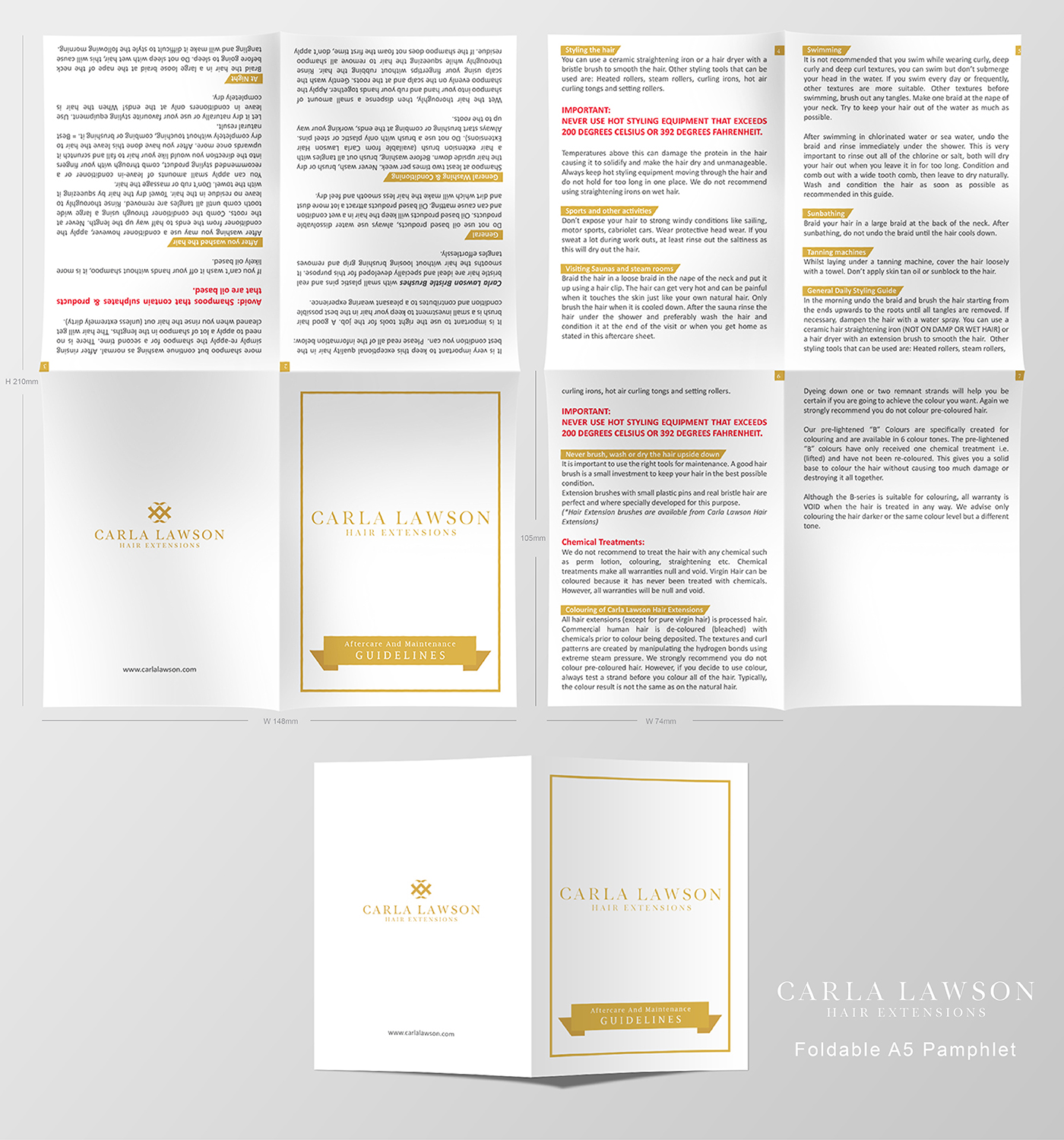 Flyer Design by - SWING - for this project | Design #12785355