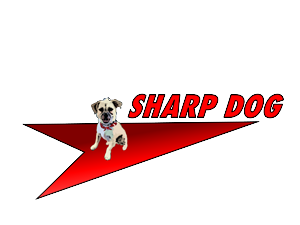 Logo Design by Stasia for this project | Design: #520232