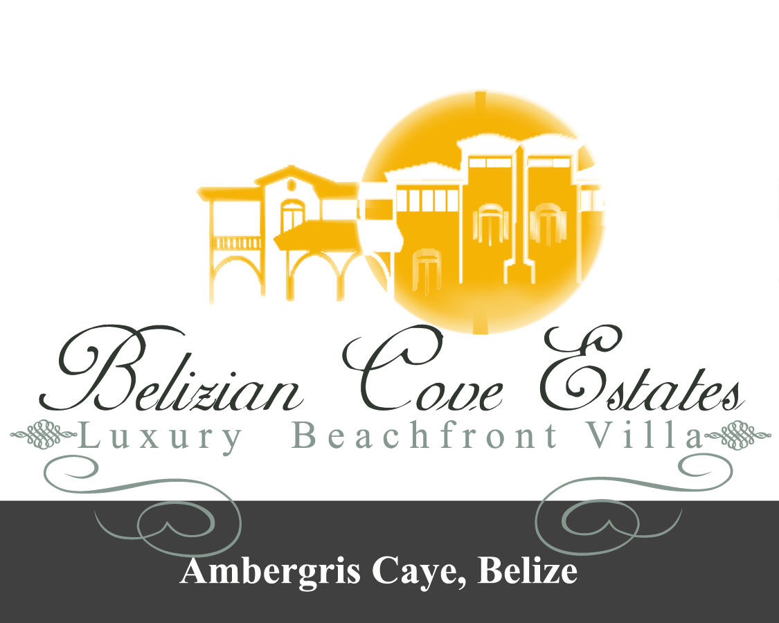 Logo-Design von aleksandar.colic für dieses Projekt | Design #2522924