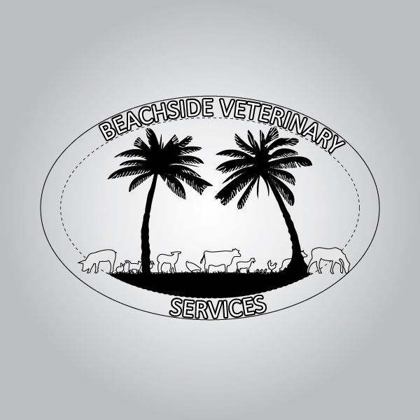 Design de Logo par MGC creazioni grafiche pour Beachside Veterinary Services | Design #12785072