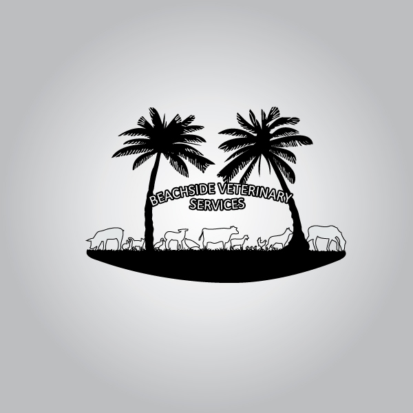 Logo-Design von MGC creazioni grafiche für Beachside Veterinary Services | Design #12785310