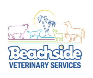 Logo Design by NHRdesign