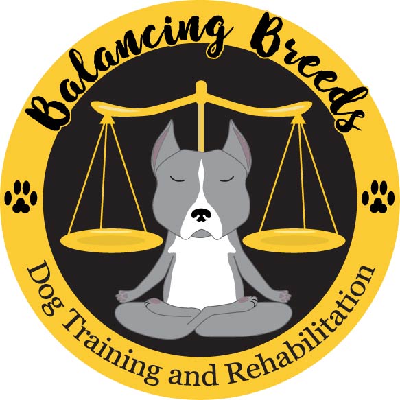 Logo Design by Samsep for this project | Design #12861810