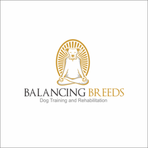 Logo Design by hernawanrere