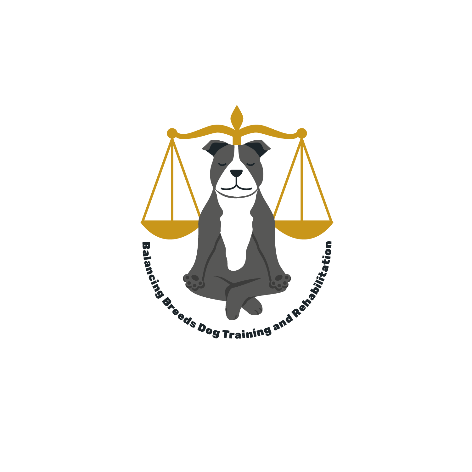 Design de Logo par shanchud pour ce projet | Design #12771805