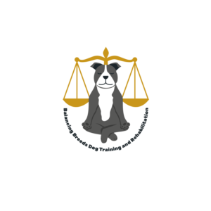 Logo Design by shanchud