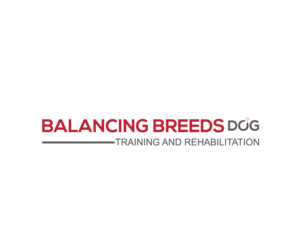 Logo Design by logout babu