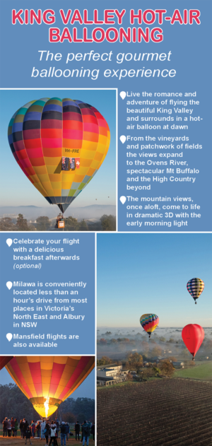 Design de Flyer par Sheingart pour Goldrush Ballooning | Design : #19618603