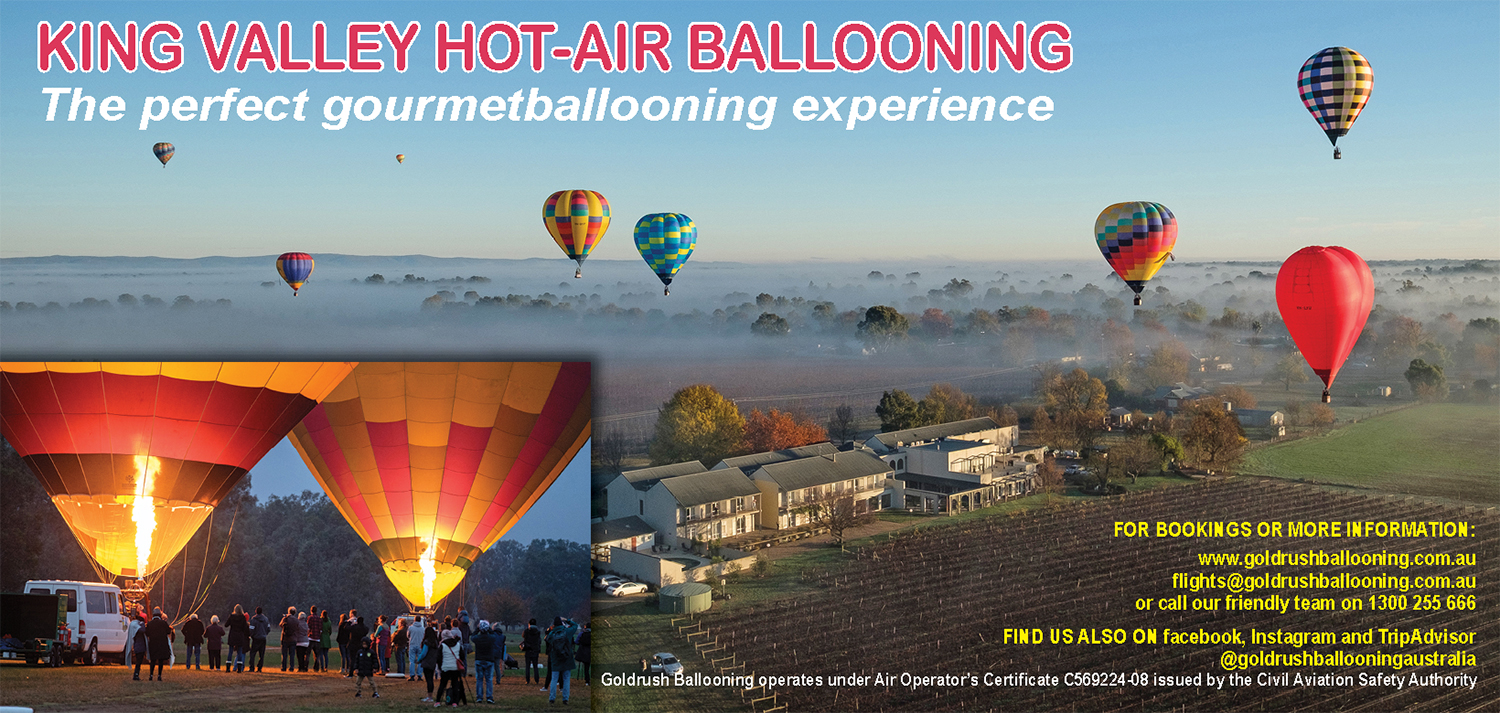 Design de Flyer par Sheingart pour Goldrush Ballooning | Design #19626957