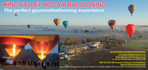 Design de Flyer par Sheingart pour Goldrush Ballooning | Design : #19626957