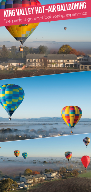 Design de Flyer par Sheingart pour Goldrush Ballooning | Design : #19632342