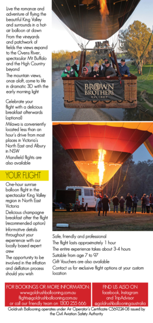 Design de Flyer par Sheingart pour Goldrush Ballooning | Design : #19632343