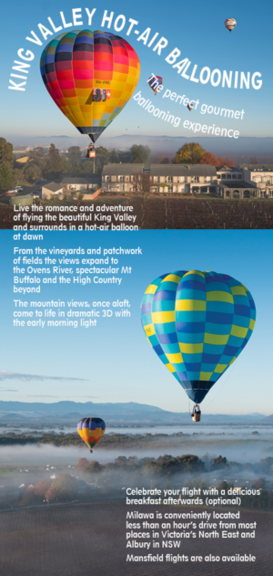 Design de Flyer par Sheingart pour Goldrush Ballooning | Design : #19661309