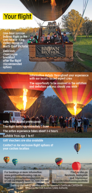 Design de Flyer par Sheingart pour Goldrush Ballooning | Design : #19661310
