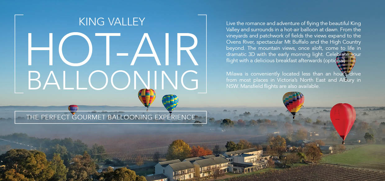 Flyer Design by MsDesigner for Goldrush Ballooning | Design #19616878