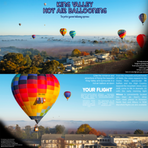 Diseño de Flyer por Ryan Lazar para Goldrush Ballooning | Diseño: #19643172