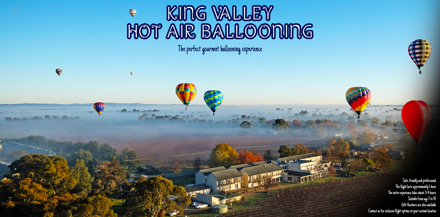 Design de Flyer par Ryan Lazar pour Goldrush Ballooning | Design #19643173