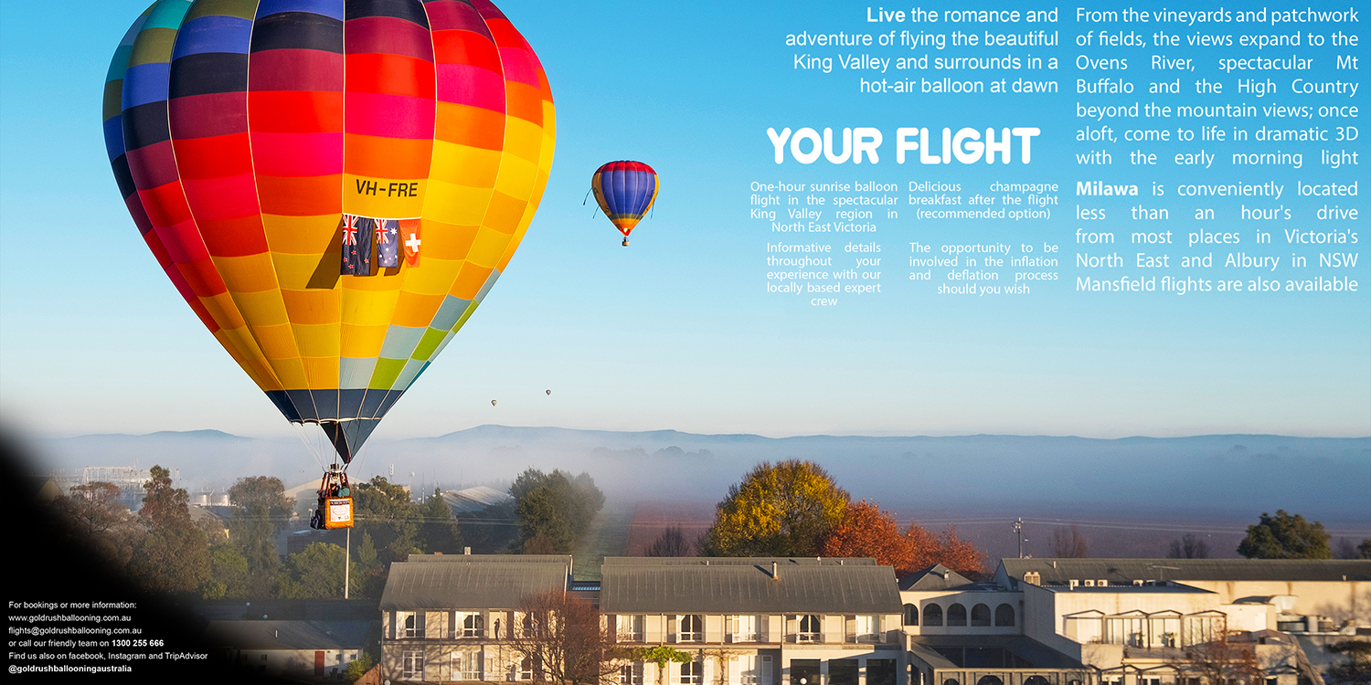 Flyer Design by Ryan Lazar for Goldrush Ballooning | Design #19643174