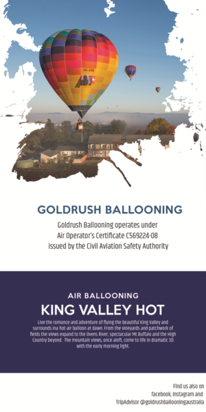 Design de Flyer par subhalaxmi  khamari pour Goldrush Ballooning | Design : #19626262