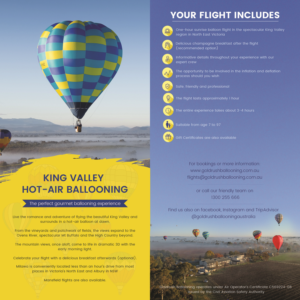 Design de Flyer par subhalaxmi  khamari pour Goldrush Ballooning | Design : #19654205