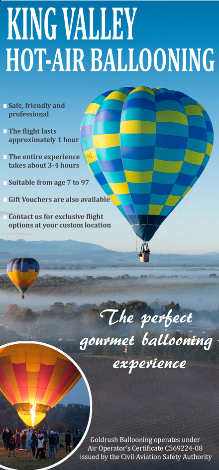 Flyer Design by cathsdesign for Goldrush Ballooning | Design #19614286