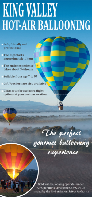Diseño de Flyer por cathsdesign para Goldrush Ballooning | Diseño: #19614286
