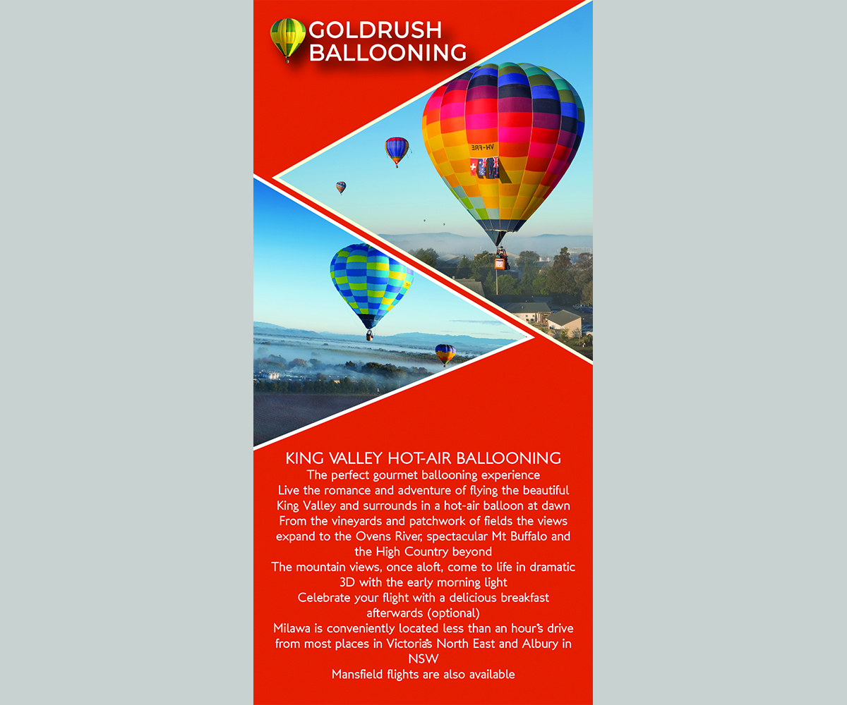 Design de Flyer par Doaa_Mohamed pour Goldrush Ballooning | Design #19623152