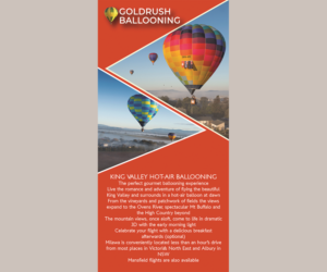 Diseño de Flyer por Doaa_Mohamed para Goldrush Ballooning | Diseño: #19623152