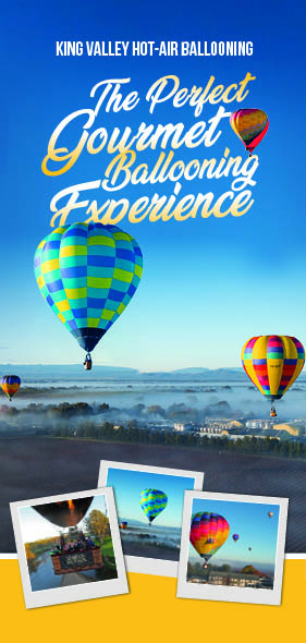 Design de Flyer par Mathan 3 pour Goldrush Ballooning | Design #19610488