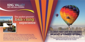 Diseño de Flyer por Abdulyasar 2 para Goldrush Ballooning | Diseño: #19623390