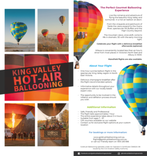 Diseño de Flyer por Alex Ayers para Goldrush Ballooning | Diseño: #19614294