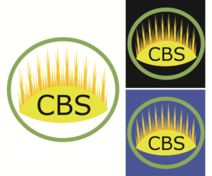 Logo-Design von m.g.gray für dieses Projekt | Design: #12771460