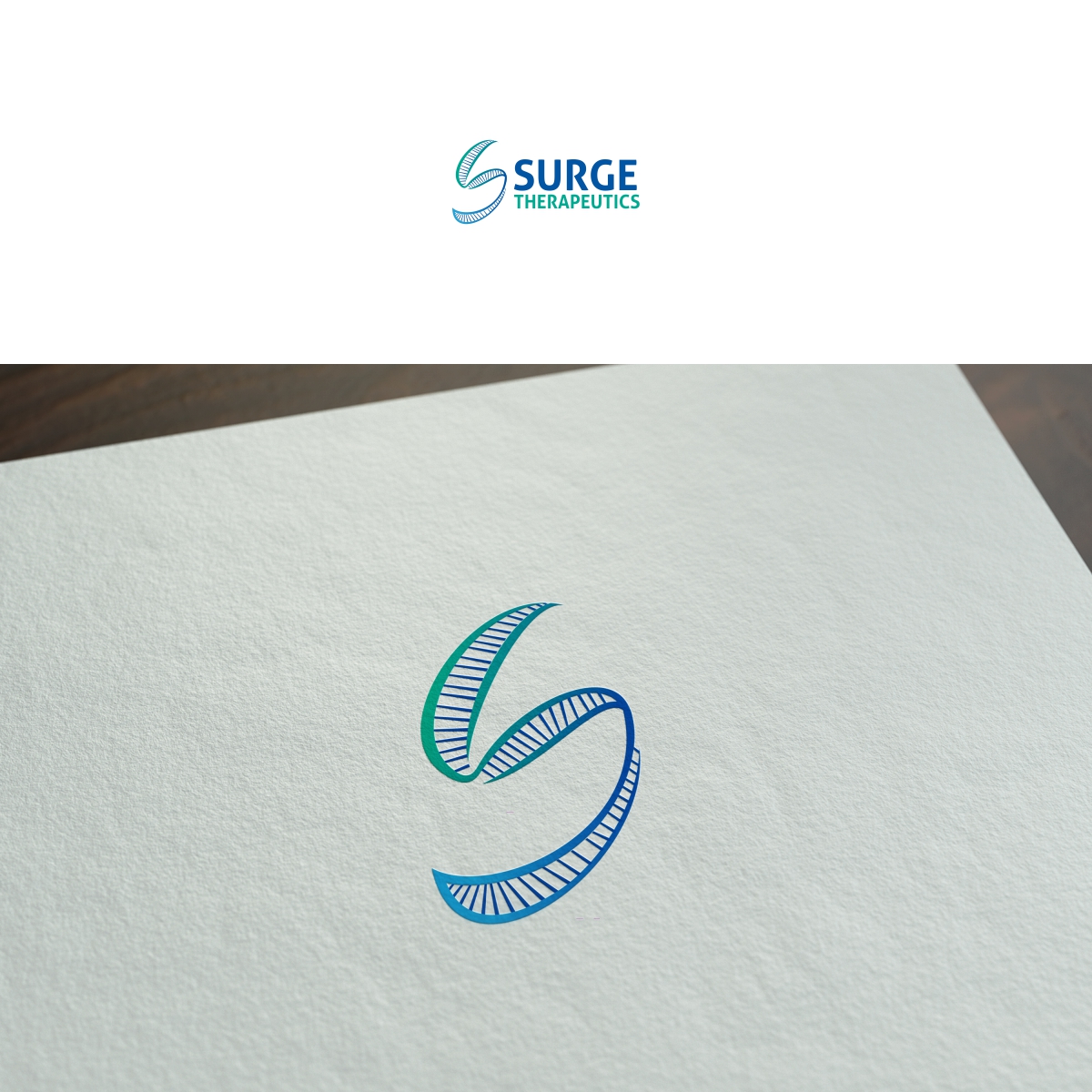 Design de Logo par cb1318 pour ce projet | Design #12828000