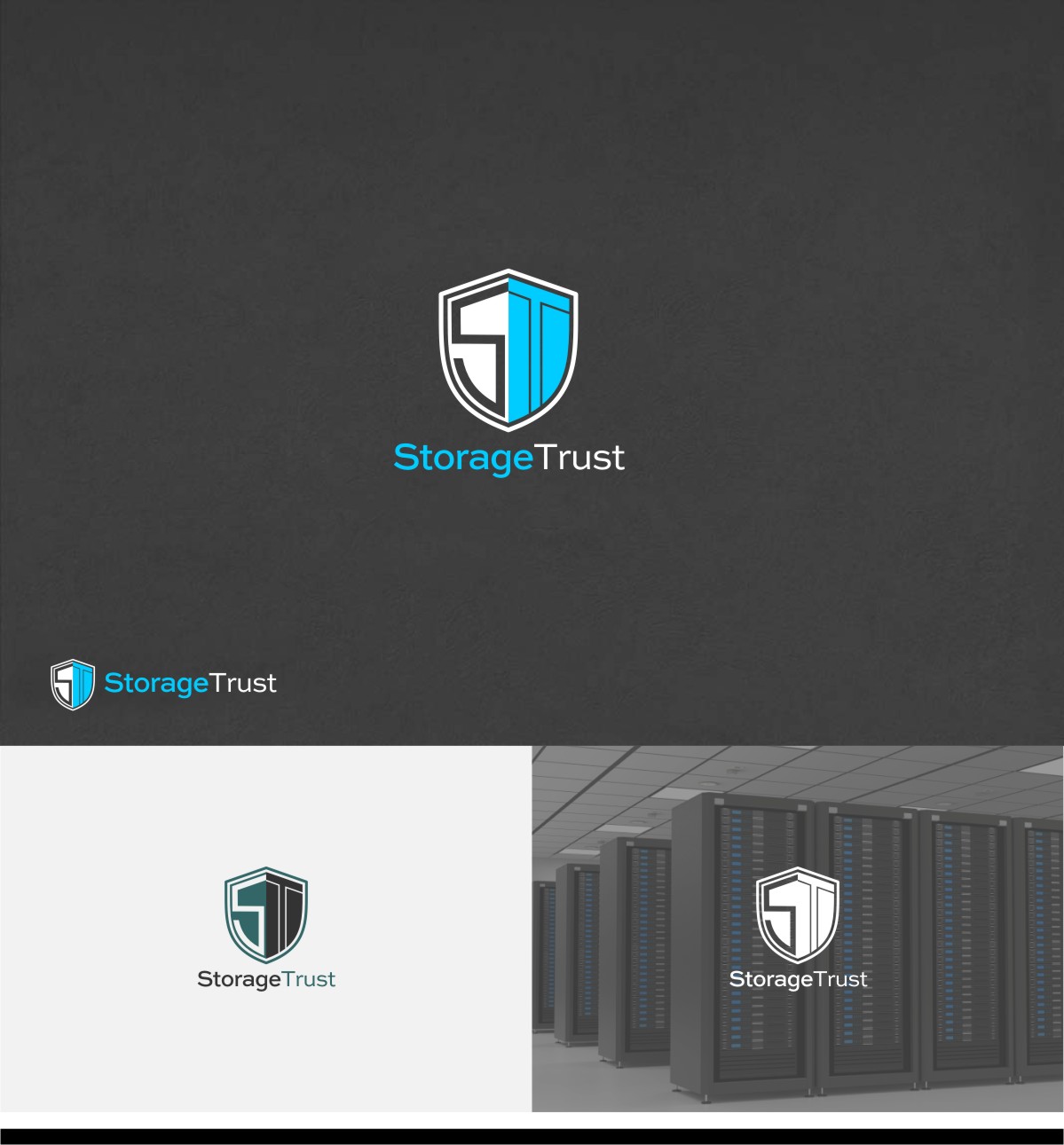 Logo Design by INDIAN_Ashok for StorageTrust | Design #12773441