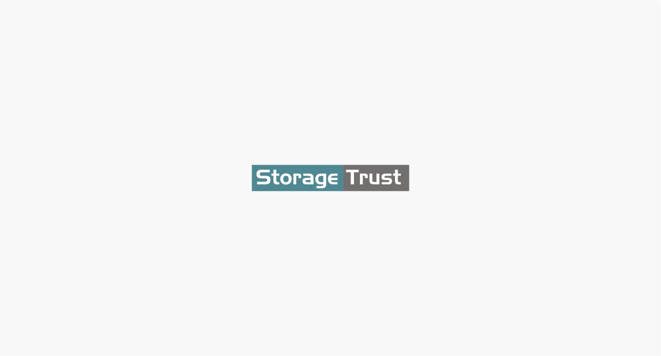 Logo Design by INDIAN_Ashok for StorageTrust | Design #12774211