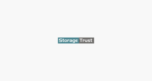 Diseño de Logo por INDIAN_Ashok para StorageTrust | Diseño: #12774211