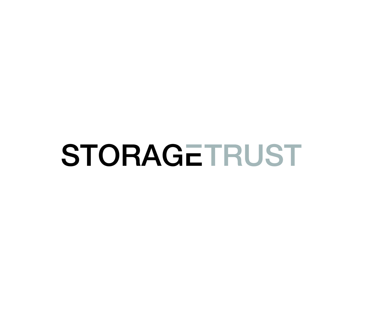 Design de Logo par KabhTech Studio pour StorageTrust | Design #12918126