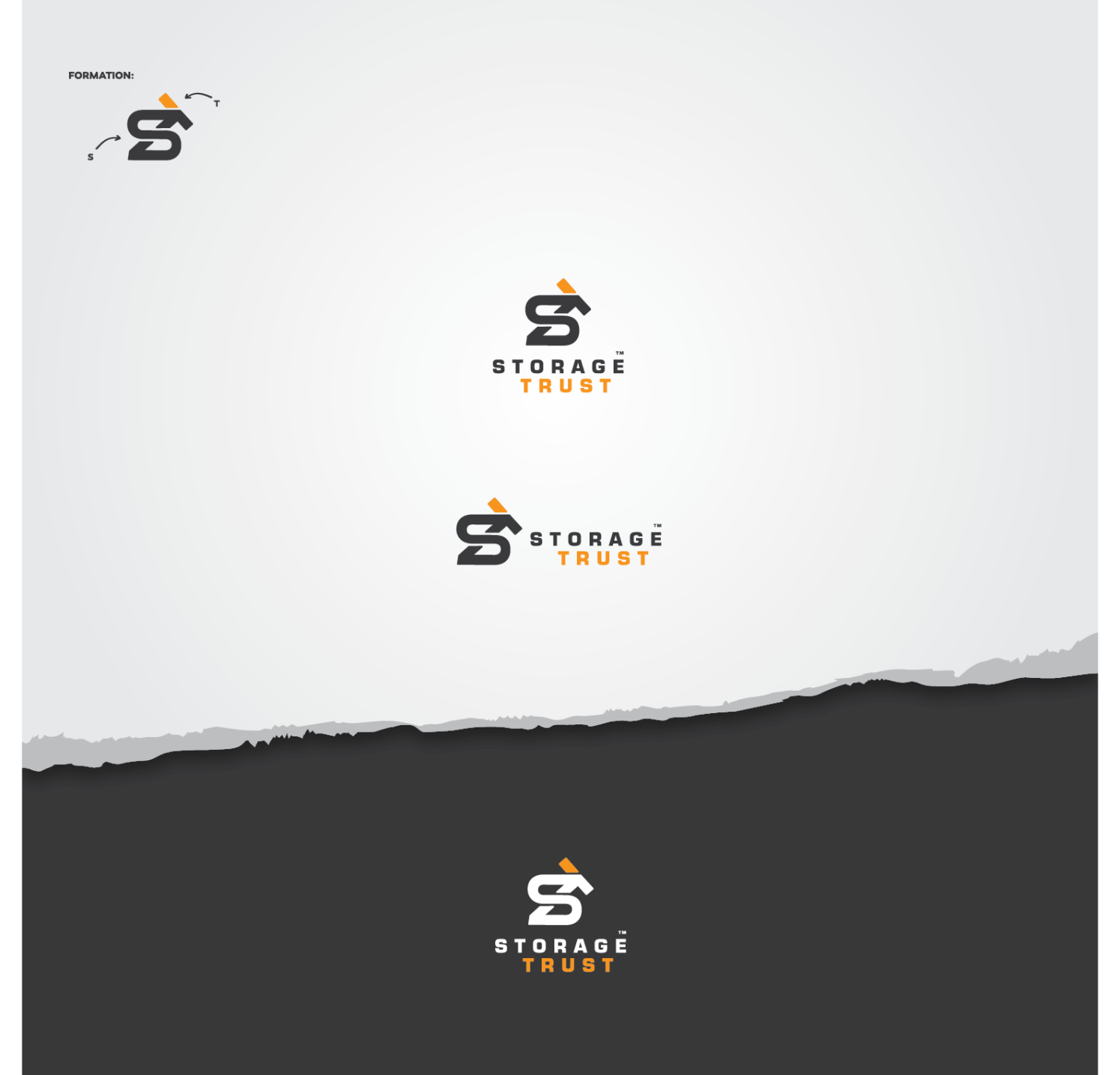 Diseño de Logo por aalio01 para StorageTrust | Diseño #12839176