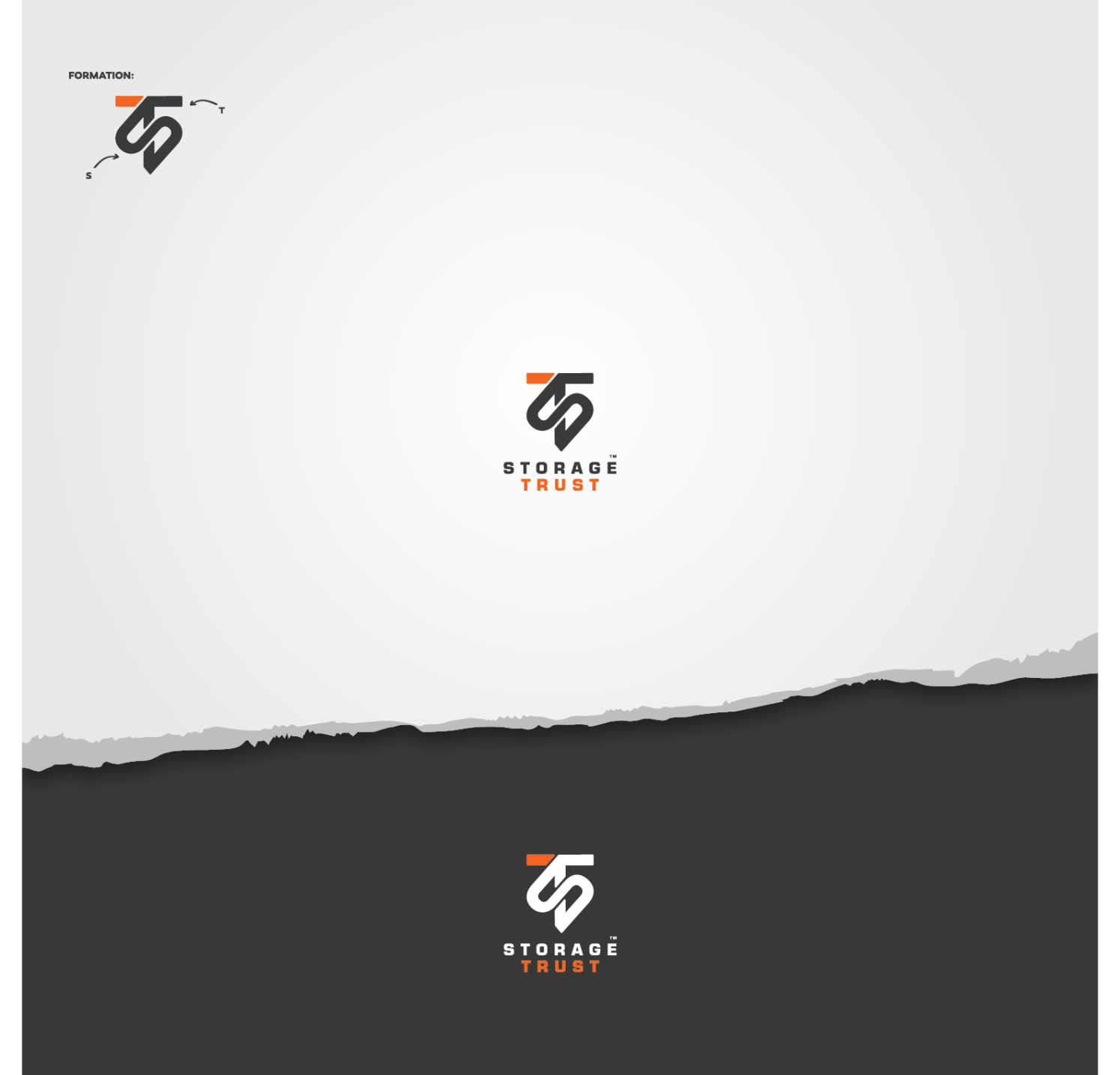 Logo Design by aalio01 for StorageTrust | Design #12839177