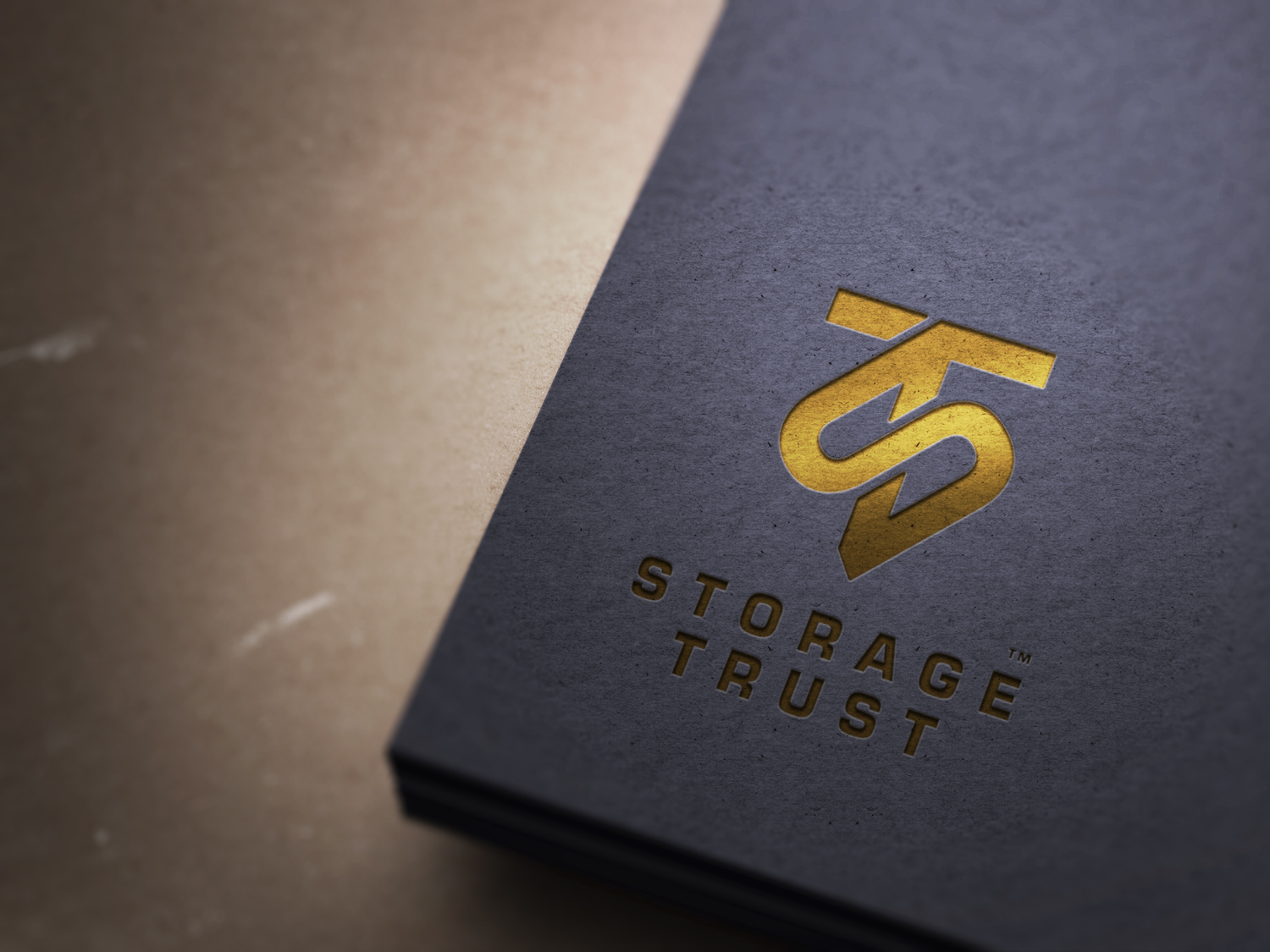 Logo-Design von aalio01 für StorageTrust | Design #12839183