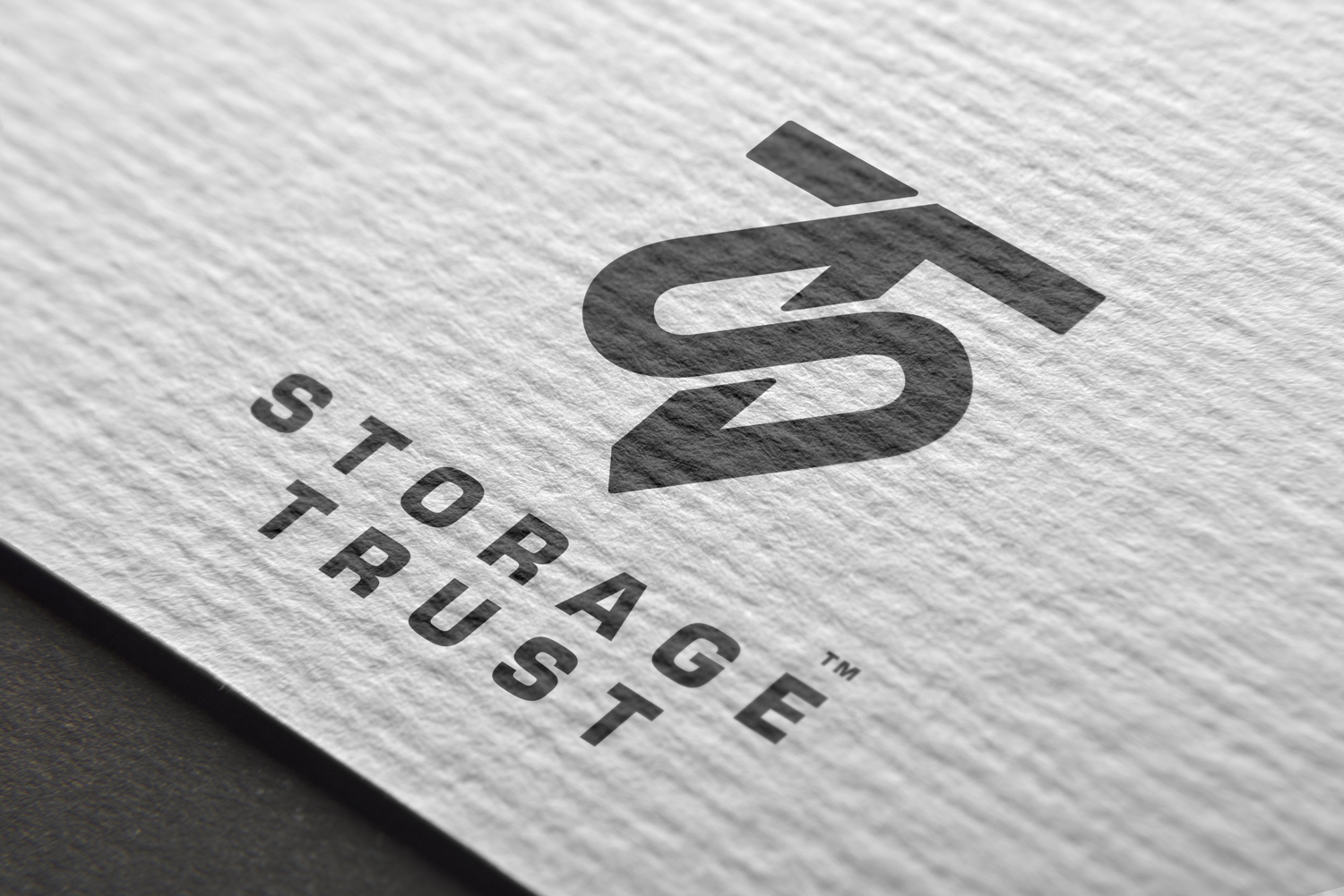 Diseño de Logo por aalio01 para StorageTrust | Diseño #12839194
