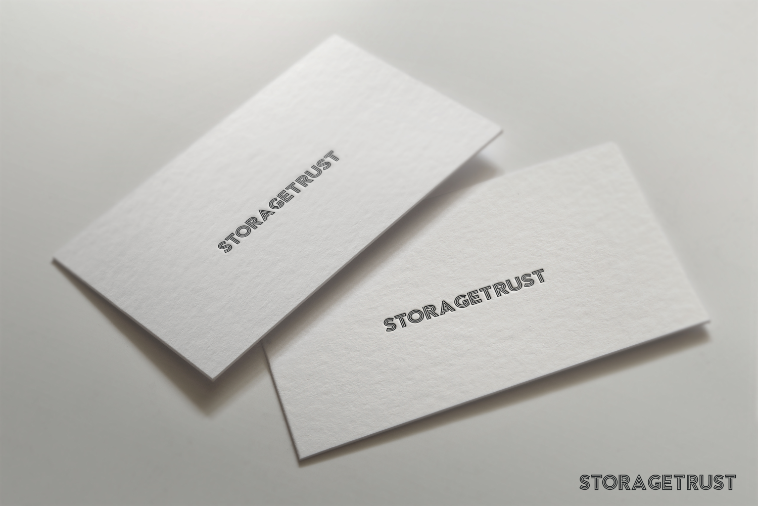 Logo Design by jenggot_merah_ for StorageTrust | Design #12910303