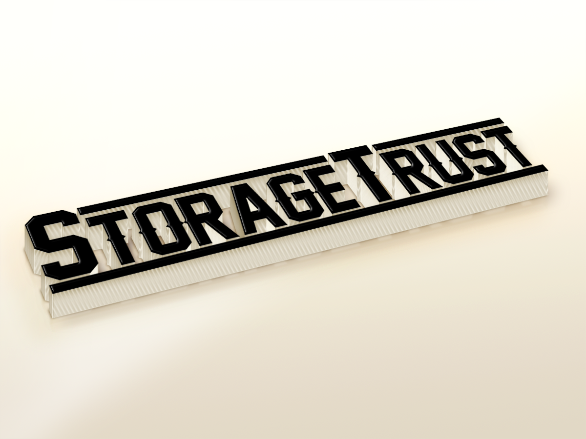 Logo Design by Angus Grafik Co. for StorageTrust | Design #12851348