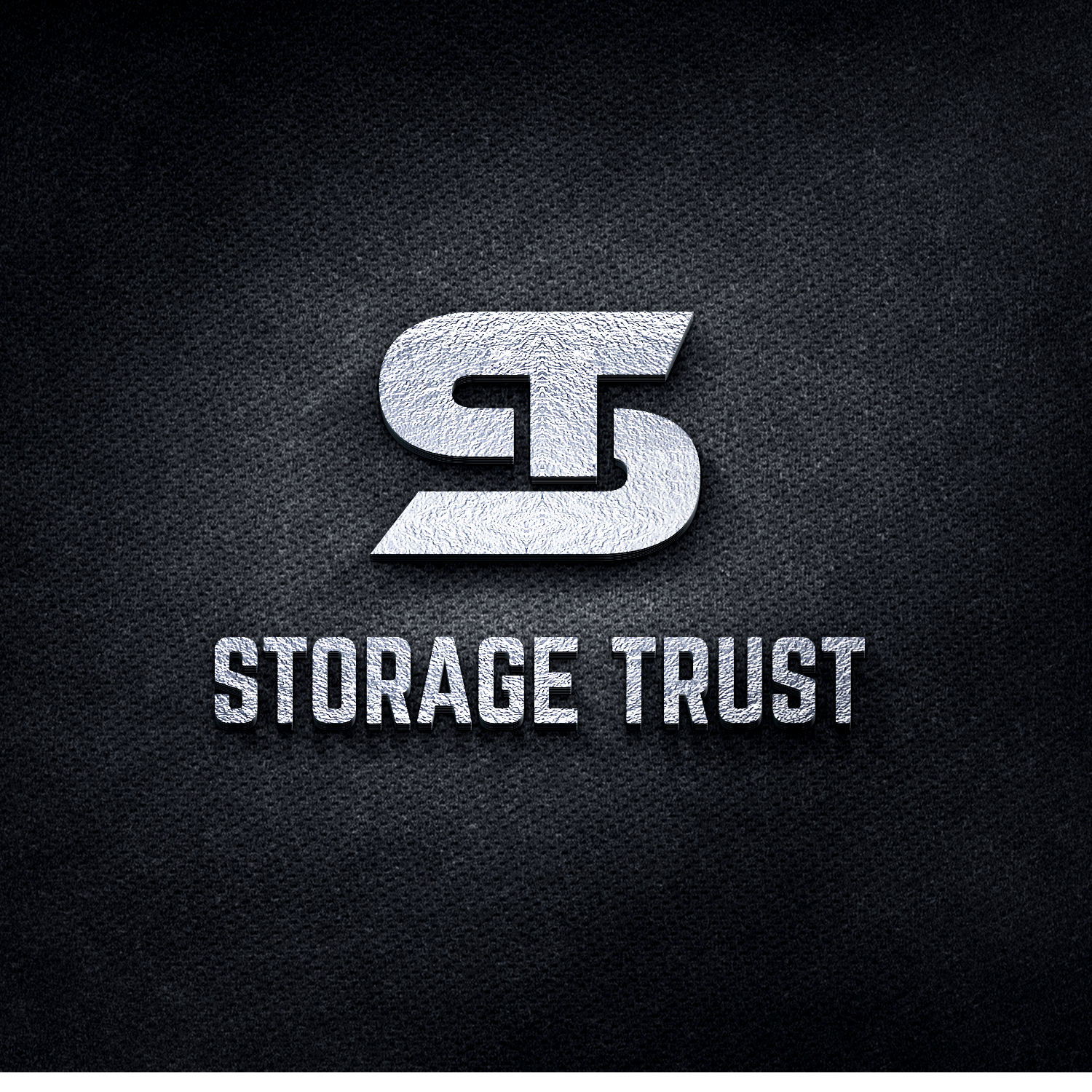 Design de Logo par Mijan Al Bashar pour StorageTrust | Design #12920527