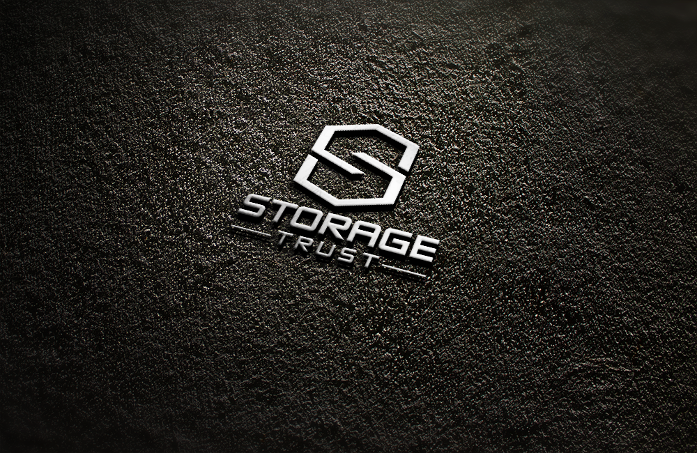 Design de Logo par carabuenaeffect pour StorageTrust | Design #12853273