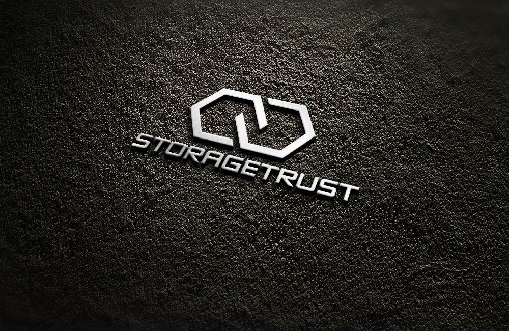 Design de Logo par carabuenaeffect pour StorageTrust | Design #12853274