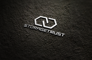 Design de Logo par carabuenaeffect pour StorageTrust | Design : #12853274