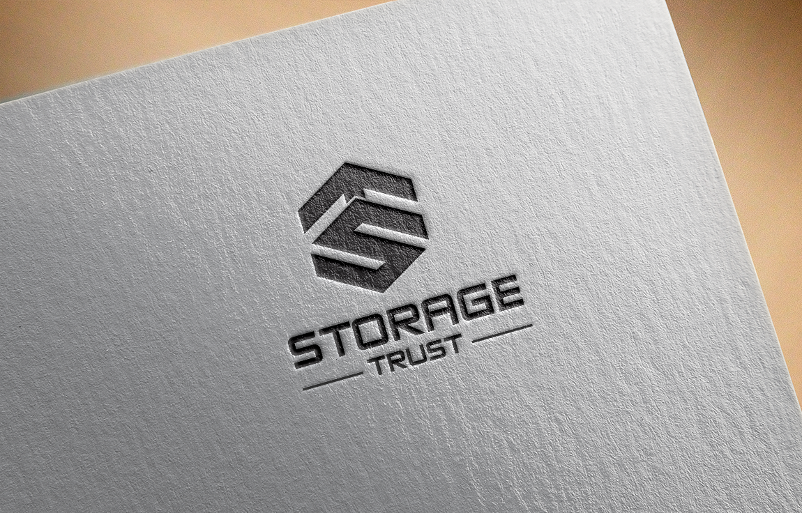 Logo Design by carabuenaeffect for StorageTrust | Design #12927118